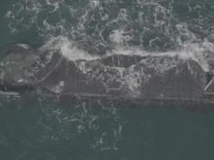 Australia controls UK submarine from 10,000 miles away